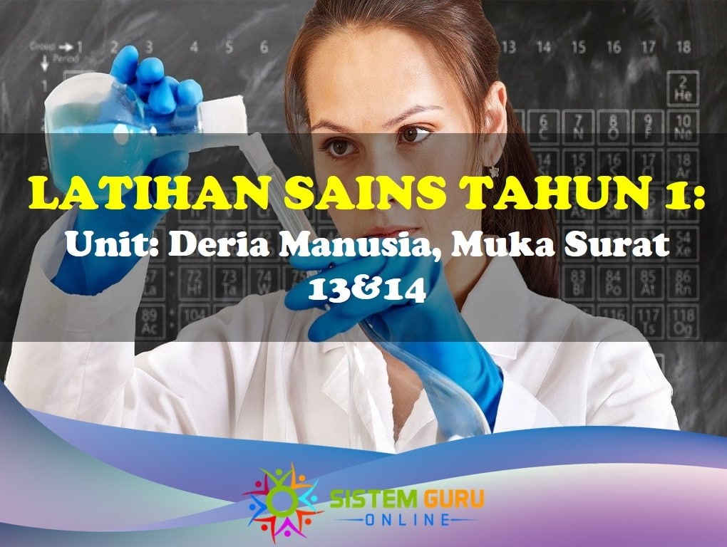 Latihan Sains Tahun 1= Unit: Deria Manusia, Muka Surat 13&14. Latihan ini dapat membantu para guru dalam penyediaan bahan pendidikan yang sesuai untuk digunakan semasa proses pembelajaran di sekolah. Latihan Sains tahun 1 Deria Manusia