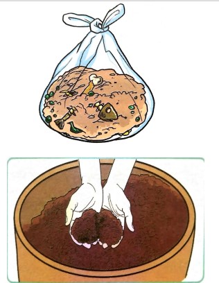 Memupuk sikap cintakan alam sekitar seharusnya bermula dari kecil lagi. Oleh yang demikian, perkingsian admin kali ini berkaitan tajuk nota bahan buangan dalam subjek sains bagi tahun 6. Setiap rumah akan menghasilkan bahan buangan setiap hari, namun dengan pengurusan yang baik kita mampu mencegah kesan buruk bahan buangan kepada diri kita. Nota Bahan Buangan Subjek Sains Tahun 6