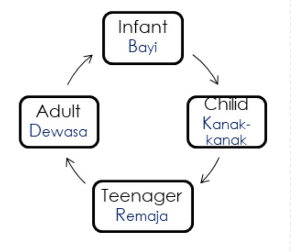 Bagi persediaan pelajar menghadapi peperiksaan, Admin menyeru para guru dan ibu bapa dapatkan bahan Soalan Peperiksaan Akhir Tahun PAT sains tahun 2. Bimbingan ibu bapa amat diharapkan bagi membantu anak-anak menyelesaikan tugasan sumatif daripada guru bahkan membantu membuat latih tubi sebagai persediaan peperiksaan. Bahan Soalan Peperiksaan Akhir Tahun PAT Sains Tahun 2