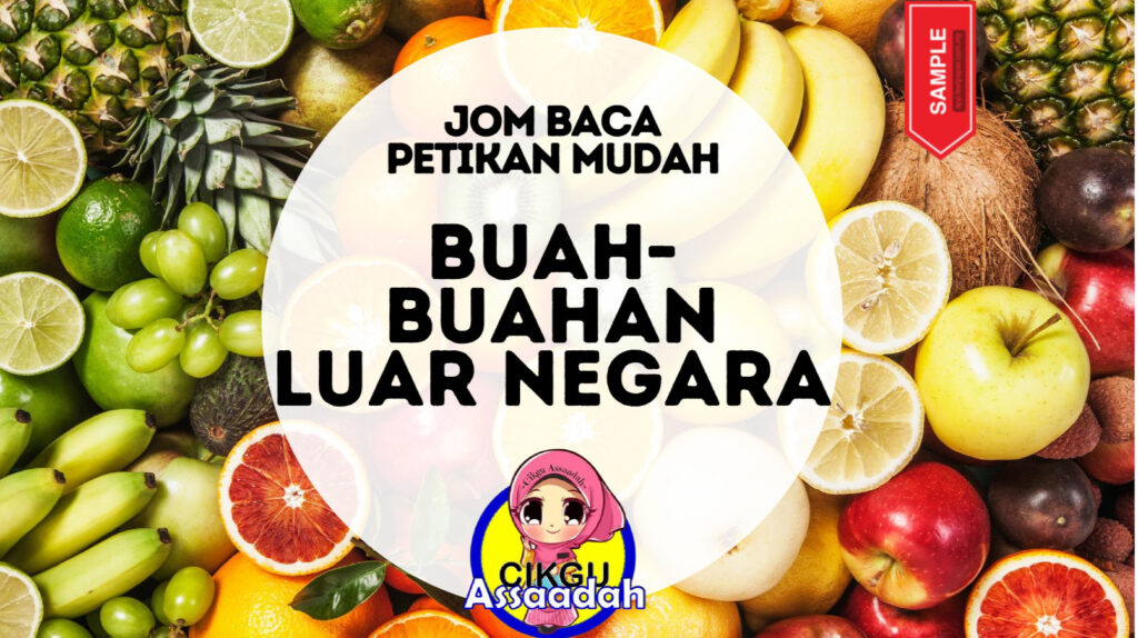 Kagum! Itulah yang admin rasa bila terjumpa modul ini hari ini semasa mencari bahan prasekolah tadi. Slaid Bacaan prasekolah & tadika terbaik pernah admin jumpa! Ya, satu set lengkap semua ada telah dihimpunkan oleh editor iaitu Cikgu Assaadah yang sudah berpengalaman 15 tahun dalam dunia prasekolah ini!