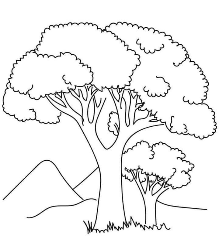 Download Kertas Mewarna Pokok Kanak-kanak Sesuai untuk Prasekolah 4,5 dan 6 Tahun. Mengasah kemahiran mewarna di kalangan kanak-kanak prasekolah adalah salah satu cara terbaik untuk membangunkan kreativiti dan kemahiran motor halus mereka. Bagi ibu bapa dan guru, menyediakan kertas mewarna yang sesuai dan menarik adalah satu langkah penting. Salah satu bahan yang paling popular adalah kertas mewarna dengan tema pokok. Artikel ini akan memberi panduan bagaimana untuk memuat turun kertas mewarna pokok yang sesuai untuk kanak-kanak prasekolah berumur 4, 5 dan 6 tahun. Download Kertas Mewarna Pokok Kanak-kanak Sesuai untuk Prasekolah 4,5 dan 6 Tahun
