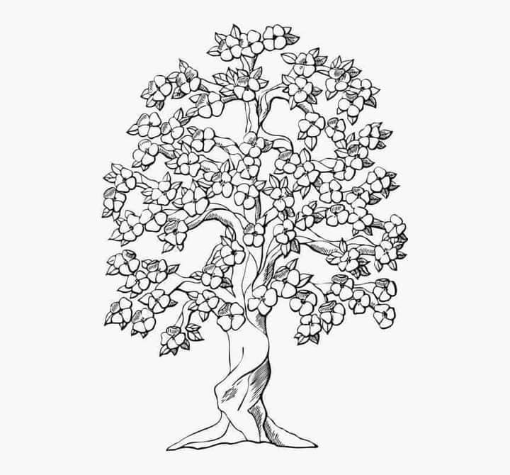 Download Kertas Mewarna Pokok Kanak-kanak Sesuai untuk Prasekolah 4,5 dan 6 Tahun. Mengasah kemahiran mewarna di kalangan kanak-kanak prasekolah adalah salah satu cara terbaik untuk membangunkan kreativiti dan kemahiran motor halus mereka. Bagi ibu bapa dan guru, menyediakan kertas mewarna yang sesuai dan menarik adalah satu langkah penting. Salah satu bahan yang paling popular adalah kertas mewarna dengan tema pokok. Artikel ini akan memberi panduan bagaimana untuk memuat turun kertas mewarna pokok yang sesuai untuk kanak-kanak prasekolah berumur 4, 5 dan 6 tahun. Download Kertas Mewarna Pokok Kanak-kanak Sesuai untuk Prasekolah 4,5 dan 6 Tahun