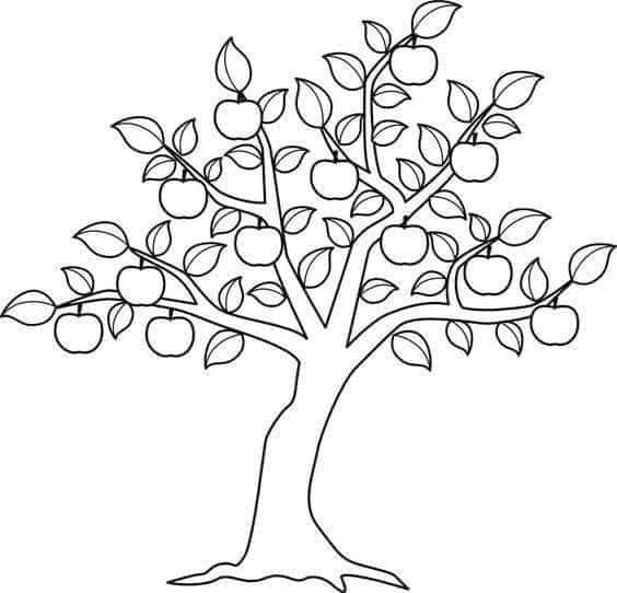 Download Kertas Mewarna Pokok Kanak-kanak Sesuai untuk Prasekolah 4,5 dan 6 Tahun. Mengasah kemahiran mewarna di kalangan kanak-kanak prasekolah adalah salah satu cara terbaik untuk membangunkan kreativiti dan kemahiran motor halus mereka. Bagi ibu bapa dan guru, menyediakan kertas mewarna yang sesuai dan menarik adalah satu langkah penting. Salah satu bahan yang paling popular adalah kertas mewarna dengan tema pokok. Artikel ini akan memberi panduan bagaimana untuk memuat turun kertas mewarna pokok yang sesuai untuk kanak-kanak prasekolah berumur 4, 5 dan 6 tahun. Download Kertas Mewarna Pokok Kanak-kanak Sesuai untuk Prasekolah 4,5 dan 6 Tahun