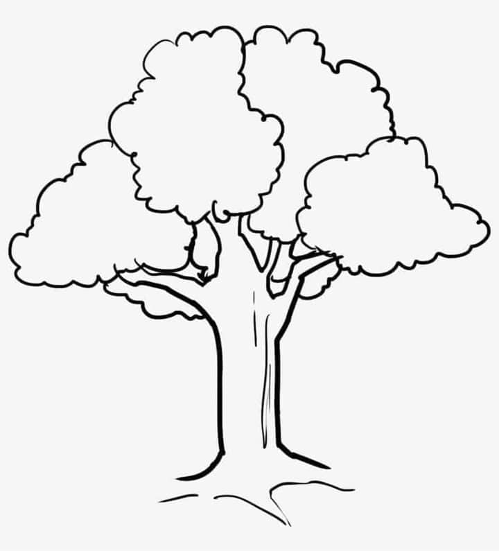 Download Kertas Mewarna Pokok Kanak-kanak Sesuai untuk Prasekolah 4,5 dan 6 Tahun. Mengasah kemahiran mewarna di kalangan kanak-kanak prasekolah adalah salah satu cara terbaik untuk membangunkan kreativiti dan kemahiran motor halus mereka. Bagi ibu bapa dan guru, menyediakan kertas mewarna yang sesuai dan menarik adalah satu langkah penting. Salah satu bahan yang paling popular adalah kertas mewarna dengan tema pokok. Artikel ini akan memberi panduan bagaimana untuk memuat turun kertas mewarna pokok yang sesuai untuk kanak-kanak prasekolah berumur 4, 5 dan 6 tahun. Download Kertas Mewarna Pokok Kanak-kanak Sesuai untuk Prasekolah 4,5 dan 6 Tahun