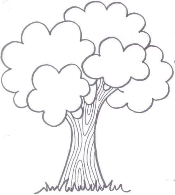 Download Kertas Mewarna Pokok Kanak-kanak Sesuai untuk Prasekolah 4,5 dan 6 Tahun. Mengasah kemahiran mewarna di kalangan kanak-kanak prasekolah adalah salah satu cara terbaik untuk membangunkan kreativiti dan kemahiran motor halus mereka. Bagi ibu bapa dan guru, menyediakan kertas mewarna yang sesuai dan menarik adalah satu langkah penting. Salah satu bahan yang paling popular adalah kertas mewarna dengan tema pokok. Artikel ini akan memberi panduan bagaimana untuk memuat turun kertas mewarna pokok yang sesuai untuk kanak-kanak prasekolah berumur 4, 5 dan 6 tahun. Download Kertas Mewarna Pokok Kanak-kanak Sesuai untuk Prasekolah 4,5 dan 6 Tahun