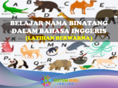 Belajar Nama Binatang dalam Bahasa Inggeris dengan Latihan Berwarna belajar nama binatang dalam bahasa inggeris