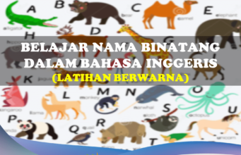 Belajar Nama Binatang dalam Bahasa Inggeris dengan Latihan Berwarna belajar nama binatang dalam bahasa inggeris