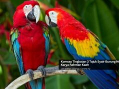 Komsas Tingkatan 3 Tajuk Syair Burung Nuri Karya Rahman Kaeh