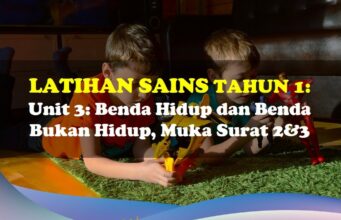 Latihan Sains Tahun 1= Unit 3: Benda Hidup dan Benda Bukan Hidup Muka Surat 2&3 Latihan Sains Tahun 1 Unit 3 Ms 2&3