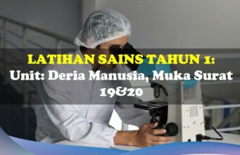 Latihan Sains Tahun 1= Unit: Deria Manusia, Muka Surat 19&20 Latihan Sains Tahun 1 Deria Manusia Ms 19&20
