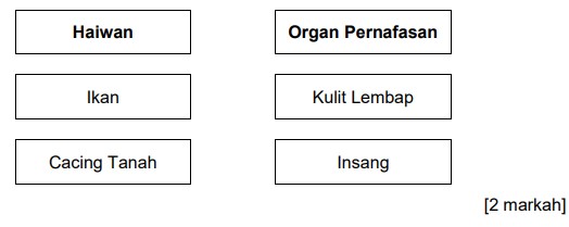 Perkongsian Dokumen Bantu Jawab Soalan UASA Sains Tahun 6 - Download ...