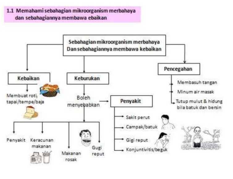 Persediaan Menduduki Ujian Akhir Sesi Akademik UASA Sains Tahun 5